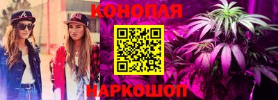 сатива Кинель
