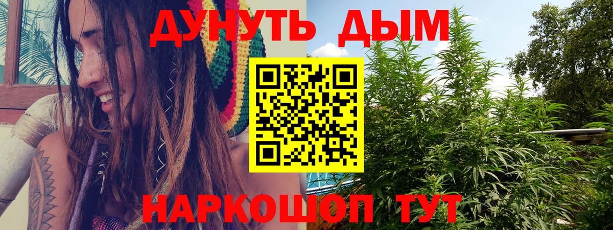 Бошки Шишки тримм  Канабис LSD WEED  Конопля Bruce Banner  Марихуана индика  Вход с VPN  Краснознаменск 